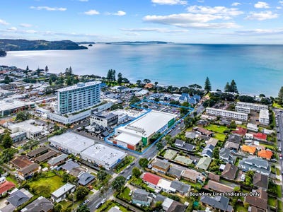 /international/nz/3-moenui-avenue-orewa-auckland-380119825372/