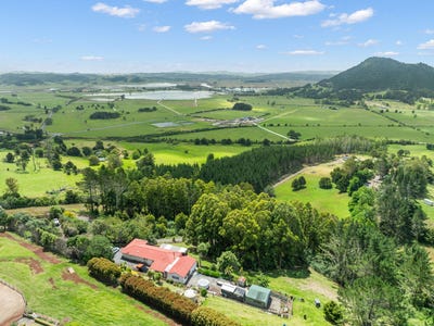 /international/nz/448-apotu-road-kauri-northland-380119848204/