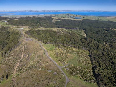 /international/nz/201a-tuhirangi-road-makarau-auckland-380119806901/