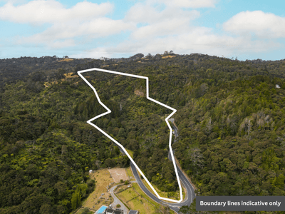 /international/nz/89-bethells-road-waitakere-auckland-380119831107/