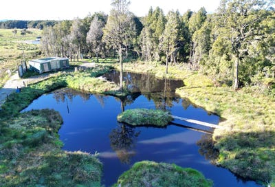 /international/nz/378a-kumara-junction-highway-hokitika-west-coast-380119857486/