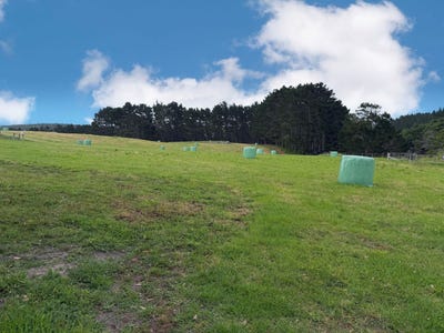 /international/nz/75-kai-iwi-lakes-road-dargaville-northland-380119847313/