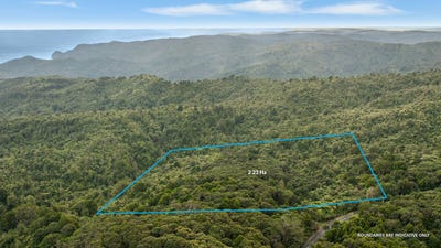 /international/nz/254-piha-road-piha-auckland-380119813535/