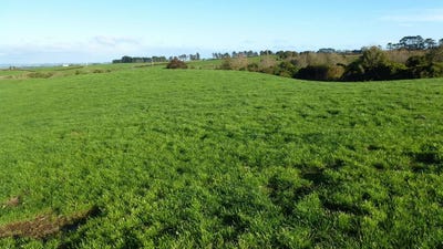 /international/nz/343-opunake-road-stratford-taranaki-380119812451/
