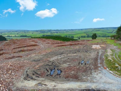 /international/nz/0-fletcher-road-table-hill-milton-otago-380119856087/