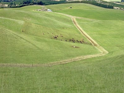 /international/nz/70-finlays-road-five-forks-and-surrounds-otago-380119861297/