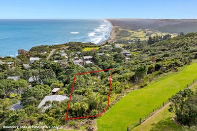 /international/nz/119-waitea-road-muriwai-auckland-380119802148/