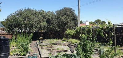 /international/nz/41-owen-road-outer-kaiti-gisborne-380119841550/