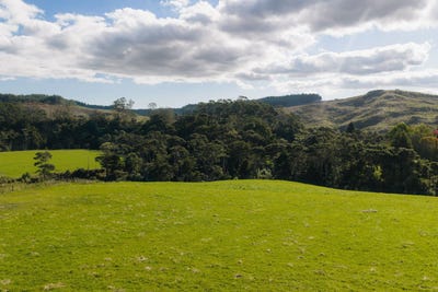 /international/nz/14-valmoore-way-coatesville-auckland-380119811975/