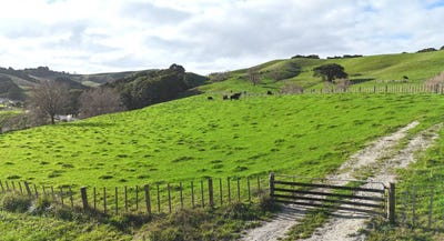 /international/nz/4326-kaipara-coast-highway-tauhoa-auckland-380119814776/