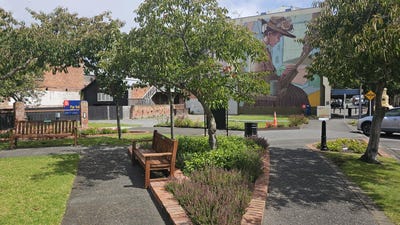 /international/nz/45-ridgway-street-whanganui-central-manawatu-whanganui-380119831200/