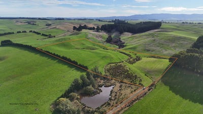 /international/nz/glendhu-road-mataura-southland-380119831653/