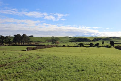 /international/nz/169-rawhitiroa-road-eltham-taranaki-380119860687/