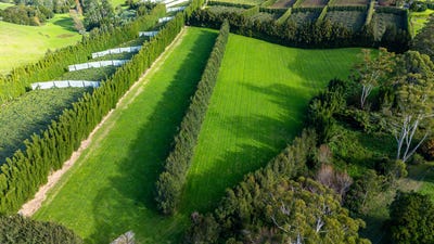 /international/nz/75-riddell-road-kerikeri-northland-380119861381/