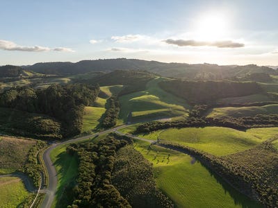 /international/nz/palliser-downs-drive-wainui-auckland-380119828576/
