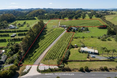 /international/nz/165a-waimate-north-road-kerikeri-northland-380119941856/