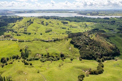 /international/nz/lot-1-wharehine-road-wellsford-auckland-380119855805/