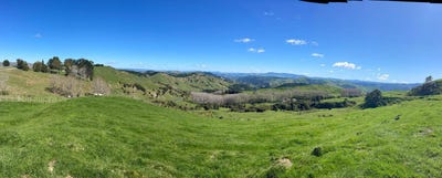 /international/nz/1845-kanakanaia-road-whatatutu-gisborne-380120127041/