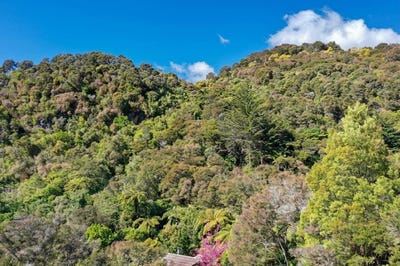 /international/nz/219-parapara-valley-road-collingwood-nelson-bays-380119938617/