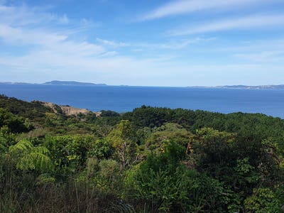 /international/nz/492-tuateawa-road-coromandel-coromandel-380119863798/