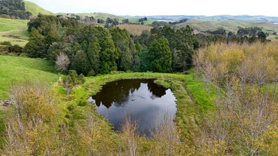 /international/nz/4062-kaipara-coast-highway-tauhoa-auckland-380119810818/