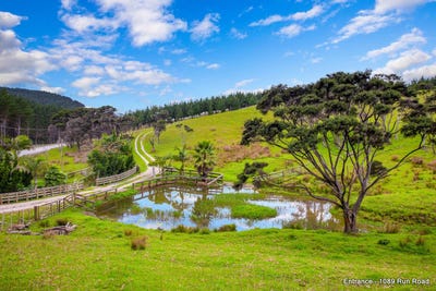 /international/nz/1089-run-road-wellsford-auckland-380119819085/