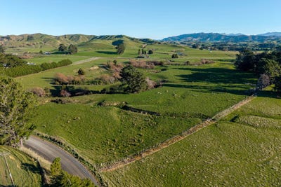 /international/nz/bowen-road-eketahuna-manawatu-whanganui-380119882566/