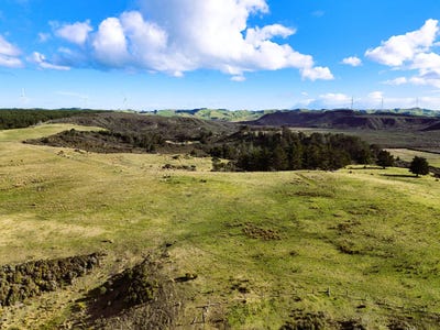 /international/nz/lot-2-state-highway-12-dargaville-northland-380119880687/