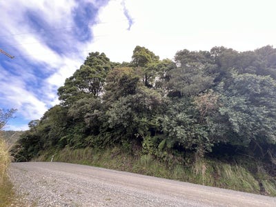 /international/nz/lot-omoto-valley-road-kaiata-west-coast-380119821410/