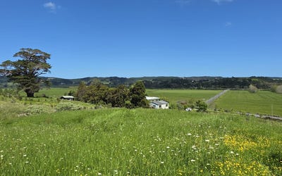 /international/nz/84-kiwitahi-road-waimauku-auckland-380119853635/