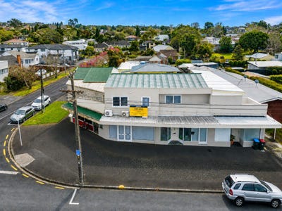 /international/nz/21-garland-road-greenlane-auckland-380119807800/