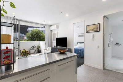 /international/nz/22-fisher-point-drive-freemans-bay-auckland-380119812472/