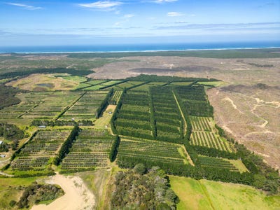 /international/nz/373-kimberly-road-ngataki-373-kimberley-road-houhora-northland-380119838449/