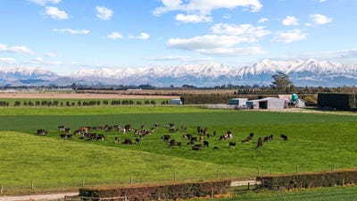 /international/nz/68-addingtons-road-darfield-canterbury-380120077033/