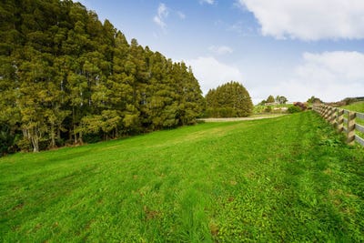 /international/nz/lots-2-and-smithville-road-kamo-northland-380119821725/