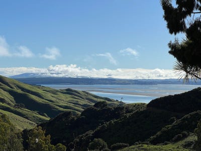 /international/nz/lot-4-whakapirau-road-kawhia-waikato-380119840256/