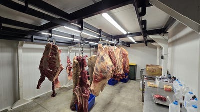 /international/nz/waikuku-canterbury-380119811819/