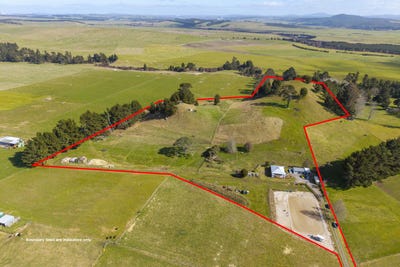 /international/nz/160-white-road-broadlands-forest-central-north-island-380119869044/