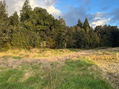 /international/nz/lot-franz-josef-state-highway-franz-josef-glacier-west-coast-380119852492/