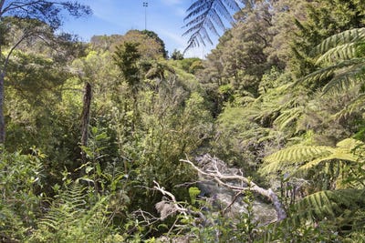 /international/nz/12b-cradock-street-avondale-canterbury-380119941322/