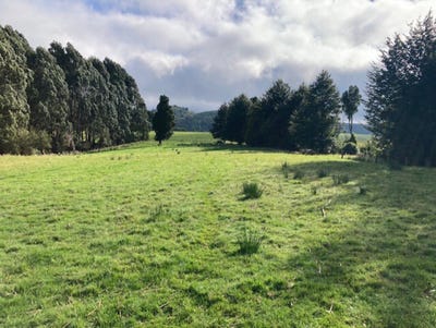 /international/nz/616b-reaby-road-gore-surrounds-southland-380119857440/