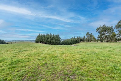 /international/nz/22-paterson-road-gore-surrounds-southland-380119809480/