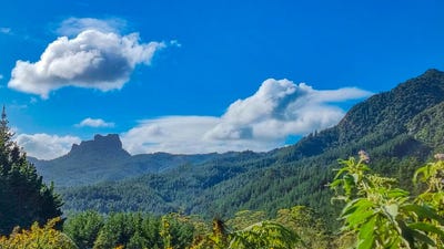 /international/nz/694-the-309-road-waiau-coromandel-coromandel-380119839872/