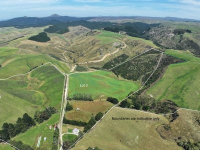 /international/nz/58-mcelwee-road-meadowbank-palmerston-auckland-380119864713/