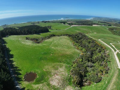 /international/nz/205-otokia-kuri-bush-road-brighton-otago-380119806606/