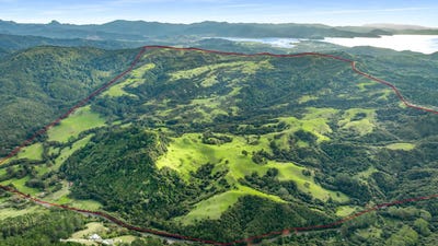 /international/nz/928-kuaotunu-wharekaho-road-whitianga-coromandel-380119814117/