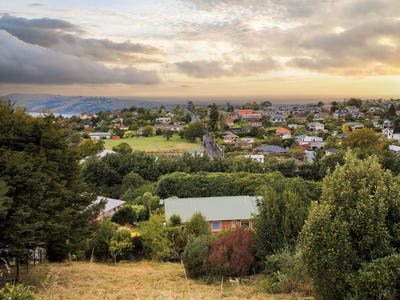 /international/nz/11-kereru-close-halfway-bush-otago-380119803432/