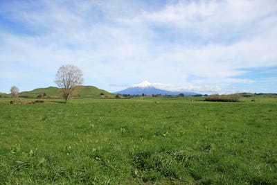 /international/nz/0n-hungers-road-eltham-taranaki-380119940243/