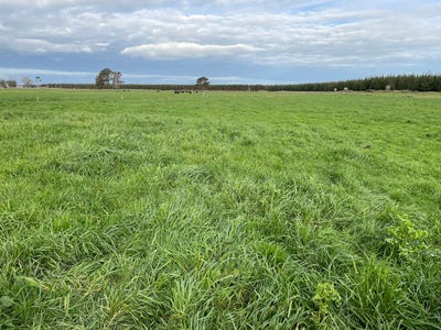 /international/nz/405-forest-road-bulls-manawatu-whanganui-380120036453/