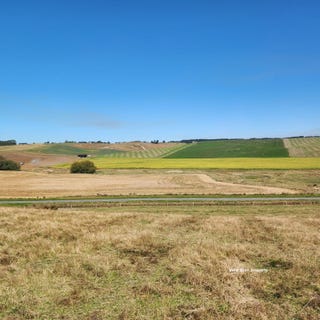 /international/nz/levels-valley-road-levels-canterbury-380119826849/